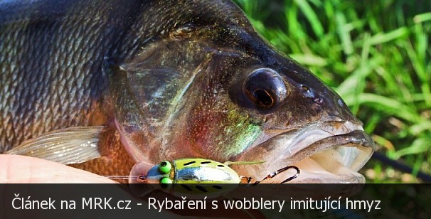 Rybaření s wobblery imitujícími hmyz